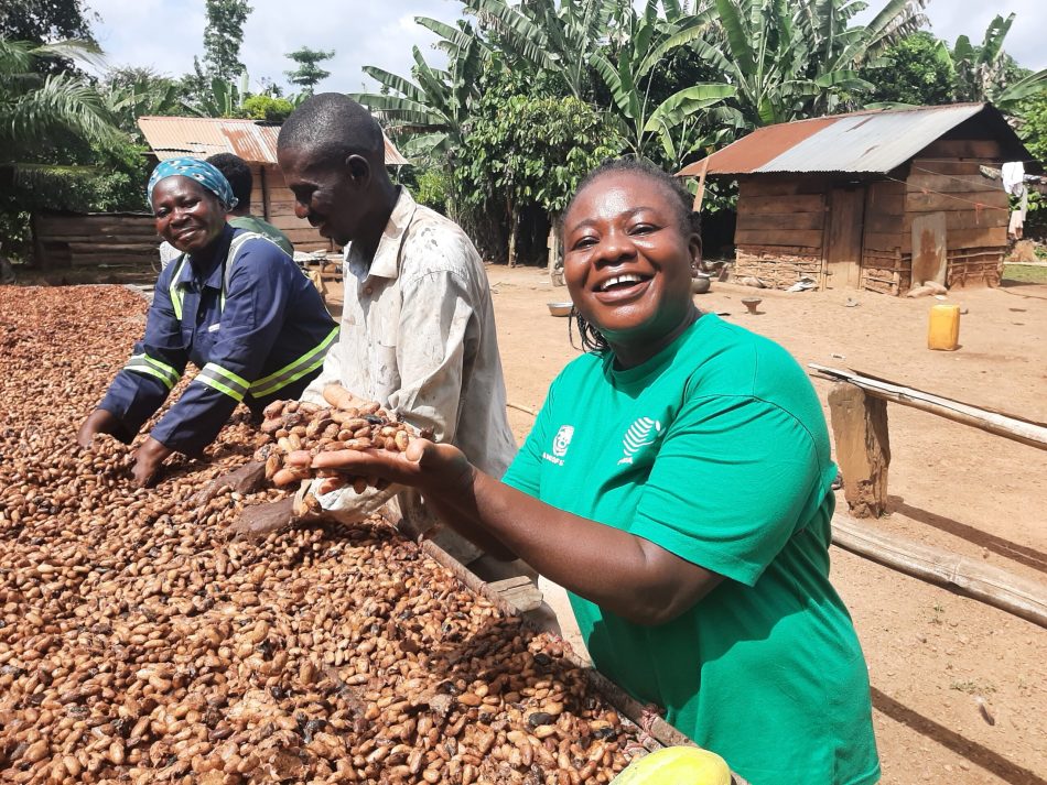 Cocoa Farming and Community Empowerment – The Future of Agriculture in Ghana